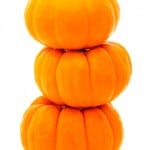 10 No-Carve Pumpkin Ideas via Tipsaholic.com