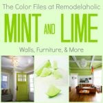 Lime-Mint-Color-Files-Pinterest-Pic