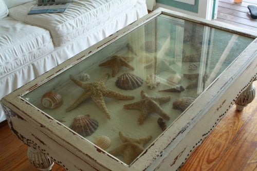 tipsaholic-glass-top-coffee-table-with-shells-inspire-reef