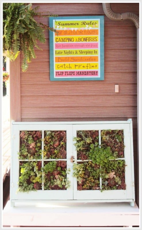 Second Chance to Dream - vertical succulent garden from old windows - via Remodelaholic
