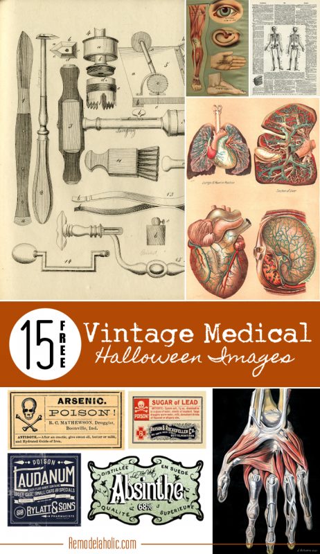 15 Free Vintage Medical Halloween Images | Remodelaholic.com #printable #free #art